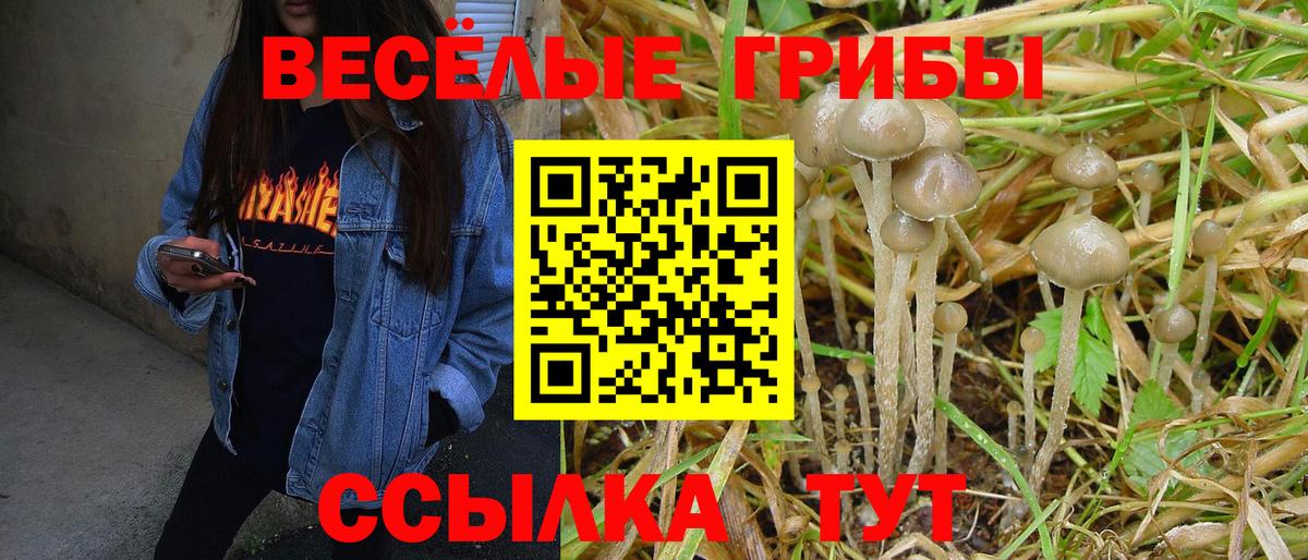 Галлюциногенные грибы Magic Shrooms Лесозаводск