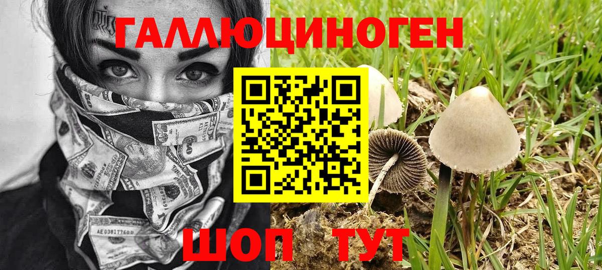 Псилоцибиновые грибы мухоморы  Вход с VPN  Лесозаводск 