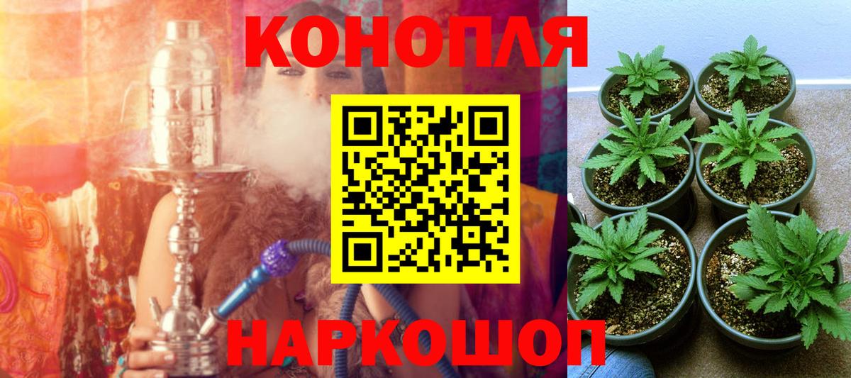 Марихуана Bruce Banner  Каннабис Amnesia  Лесозаводск  Конопля конопля  Вход с VPN 